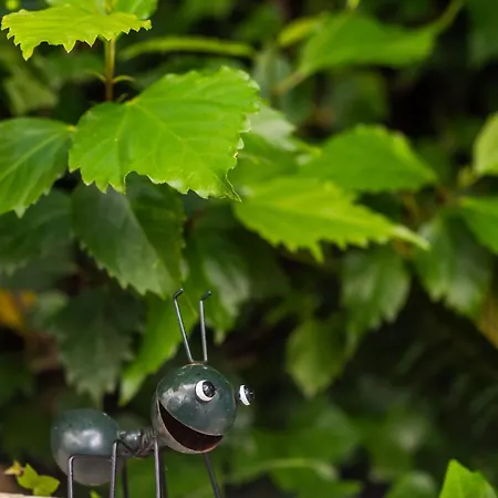 Castellsol 315 By Mauter Apartament *